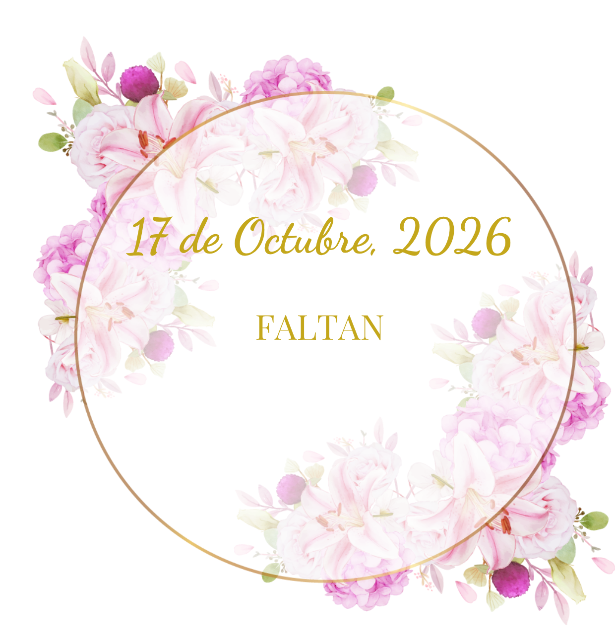 Invitación 15 rapunzel - 2026-08-21T000518.087