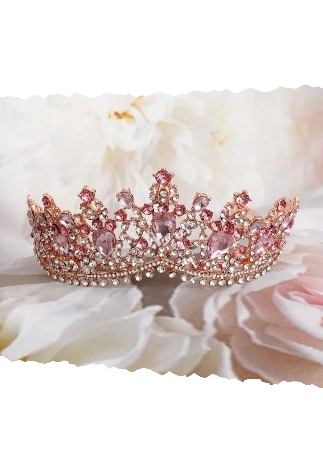 corona rosa
