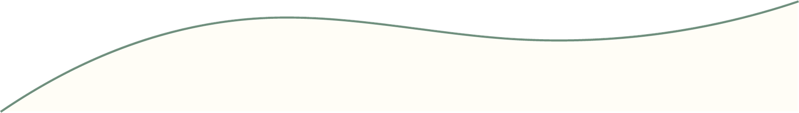 linea-y-fondo.png
